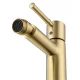 Смеситель для биде WONZON & WOGHAND TOR, Брашированное золото (WW-88016073-BG)