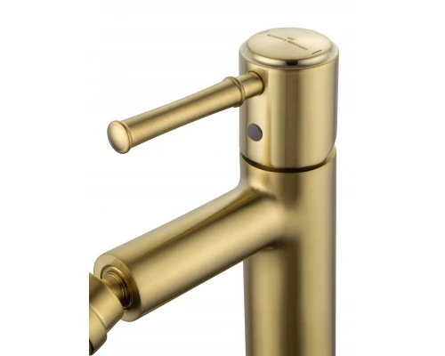 Смеситель для биде WONZON & WOGHAND TOR, Брашированное золото (WW-88016073-BG)