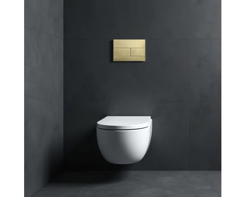 Кнопка смыва для инсталляции механическая WONZON & WOGHAND, Брашированное золото (WW-IB235-BG)