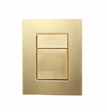 Кнопка смыва для инсталляции пневматическая WONZON & WOGHAND, Брашированное золото (WW-IB256-BG)