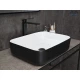 Раковина Gid Nc366 52205 накладная белая / черная 50x39x13