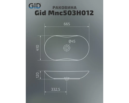 Раковина Gid Mnc503H012 54464 накладная под камень глянцевая 66.5x41x12