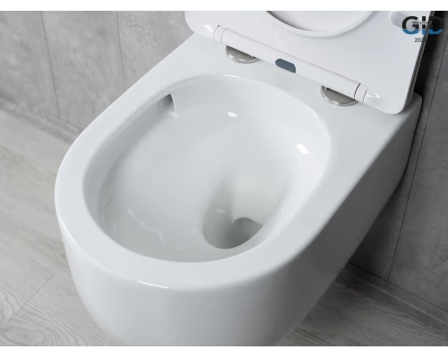 Унитаз подвесной Tornado Gid Tr2133TF 62262Y белый 49x36x34