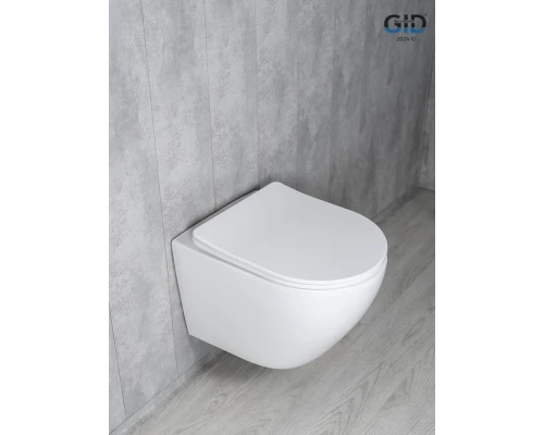 Унитаз подвесной Tornado Gid Tr2122TF 62258Y белый 49x36x36