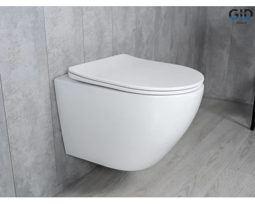 Унитаз подвесной Tornado Gid Tr2122TF 62258Y белый 49x36x36