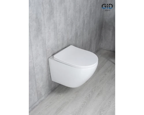 Унитаз подвесной Tornado Gid Tr2122TF 62258Y белый 49x36x36