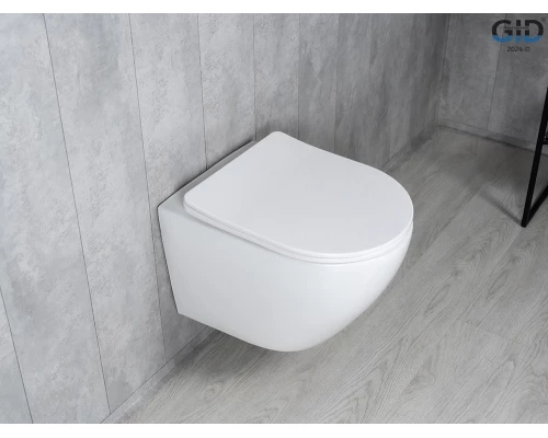 Унитаз подвесной Tornado Gid Tr2122TF 62258Y белый 49x36x36