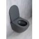 Унитаз подвесной Tornado Gid Tr2122TF-Dgm 62260Y серый матовый 49x36x36