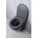 Унитаз подвесной Tornado Gid Tr2122TF-Dgm 62260Y серый матовый 49x36x36