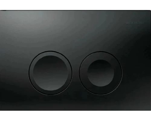 Кнопка смыва инсталляции Delta 21 Geberit 115.125.16.1 черный матовый