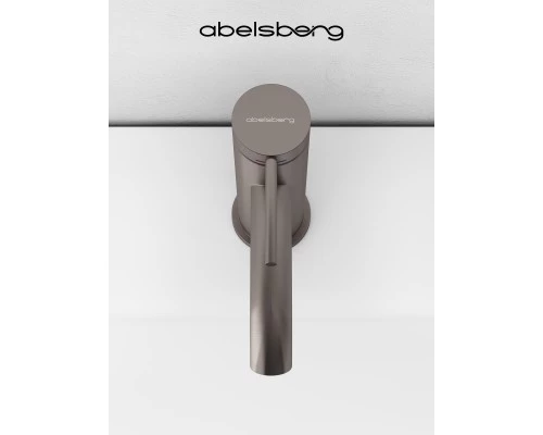 Смеситель д/раковины Abelsberg Fluida ERF22001BN, титан