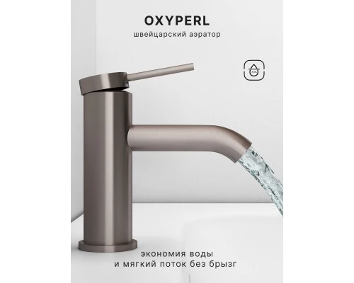 Смеситель д/раковины Abelsberg Fluida ERF22001BN, титан