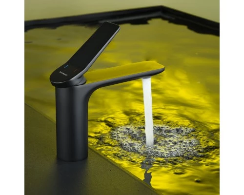 Смеситель д/раковины Abelsberg Intensa EGF23520MB, вулканический черный