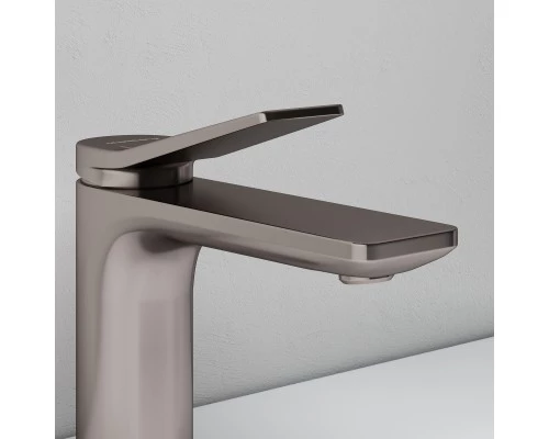 Смеситель д/раковины Abelsberg Intensa EGF23520BN, титан