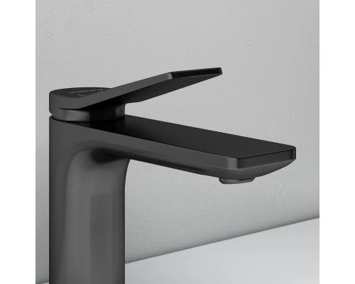 Смеситель д/раковины Abelsberg Intensa EGF23520GM, космическая сталь