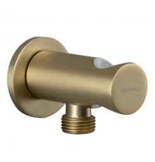 Шланговое подсоединение Splendy с держателем, золото матовое, AA215YRLGM