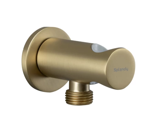 Шланговое подсоединение Splendy с держателем, золото матовое, AA215YRLGM