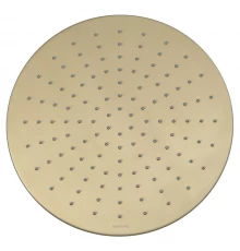 Верхний душ Splendy Feeling R 300x300 золотой матовый, FR212X300R1GM