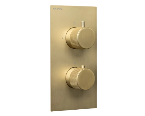 Смеситель для душа Splendy Passion, золото матовое, PA204U2T3GM