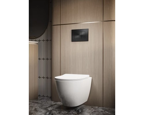 Клавиша смыва Knotlor BIS106BL, черный  (серия 1)