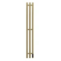 Полотенцесушитель электрический APEXTERMO Луна LN10112GLB 1100x120 с крючками, золотой матовый