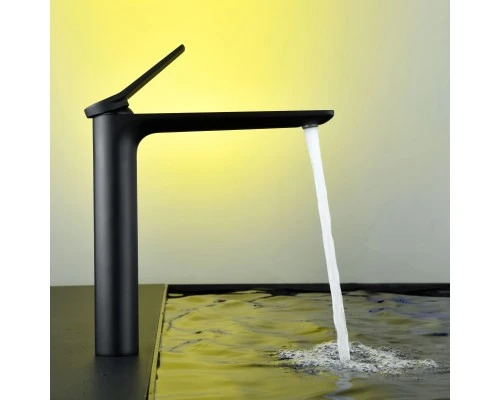 Смеситель д/раковины Abelsberg Intensa EGF23521MB высокий, вулканический черный