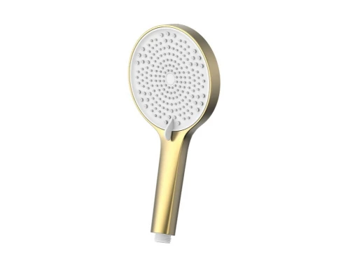 Душевая лейка ALLENDORF AD-7704 Matt Gold