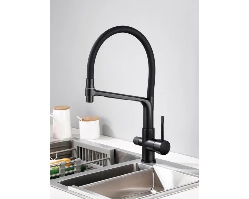 Смеситель "WaterHouse" для кухни с гибким съемным изливом и подключением к фильтру из латуни (черный)