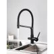 Смеситель "WaterHouse" для кухни с гибким съемным изливом и подключением к фильтру из латуни (черный)