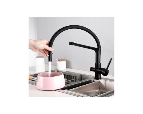 Смеситель "WaterHouse" для кухни с гибким съемным изливом и подключением к фильтру из латуни (черный)