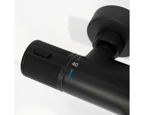 Душевая система с тропическим душем смесителем и термостатом из латуни WaterHouse (черный матовый)