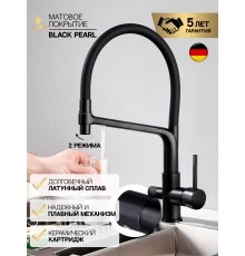 Смеситель "WaterHouse" для кухни с гибким съемным изливом и подключением к фильтру из латуни (черный)