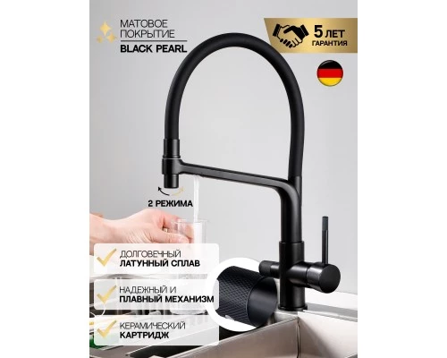 Смеситель "WaterHouse" для кухни с гибким съемным изливом и подключением к фильтру из латуни (черный)