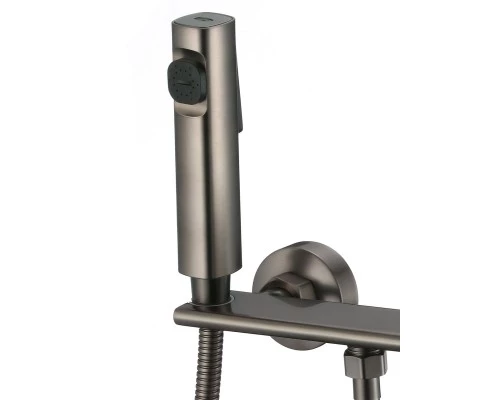 Смеситель с гигиеническим душем внешнего монтажа WaterHouse (латунь, графит)