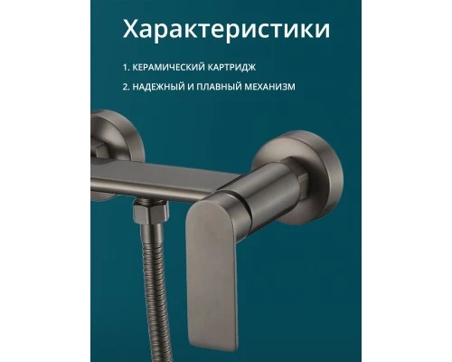 Смеситель с гигиеническим душем внешнего монтажа WaterHouse (латунь, графит)