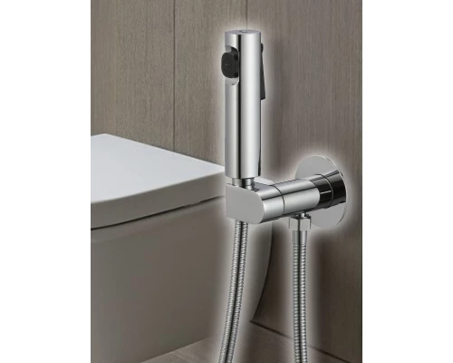 Смеситель с гигиеническим душем встраиваемый с прогрессивным картриджем WaterHouse (хром)