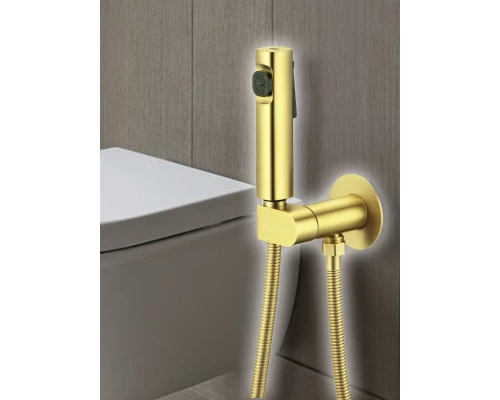 Смеситель с гигиеническим душем встраиваемый с прогрессивным картриджем WaterHouse (золото)