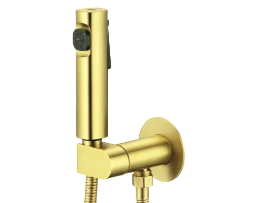 Смеситель с гигиеническим душем встраиваемый с прогрессивным картриджем WaterHouse (золото)