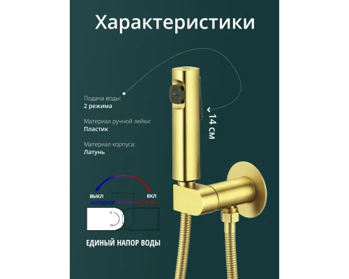 Смеситель с гигиеническим душем встраиваемый с прогрессивным картриджем WaterHouse (золото)