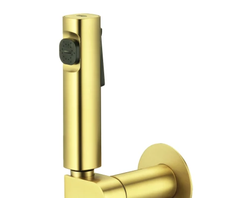Смеситель с гигиеническим душем встраиваемый с прогрессивным картриджем WaterHouse (золото)