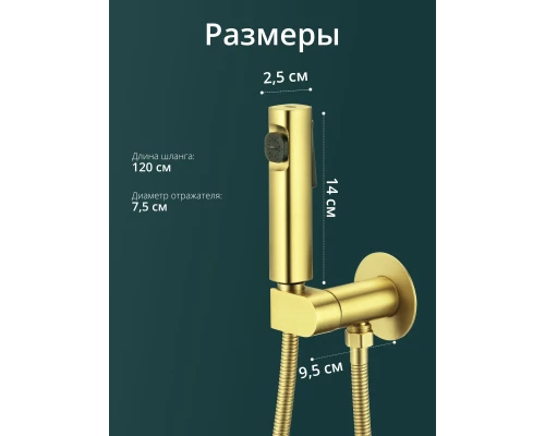 Смеситель с гигиеническим душем встраиваемый с прогрессивным картриджем WaterHouse (золото)