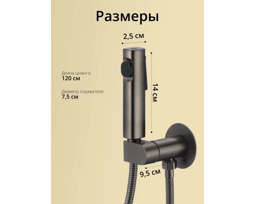 Смеситель с гигиеническим душем встраиваемый с прогрессивным картриджем WaterHouse (графит)