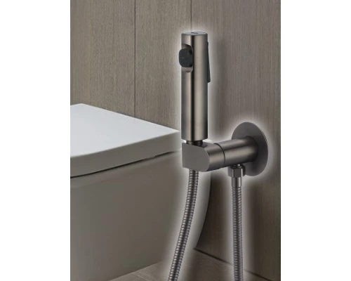 Смеситель с гигиеническим душем встраиваемый с прогрессивным картриджем WaterHouse (графит)
