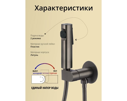 Смеситель с гигиеническим душем встраиваемый с прогрессивным картриджем WaterHouse (графит)