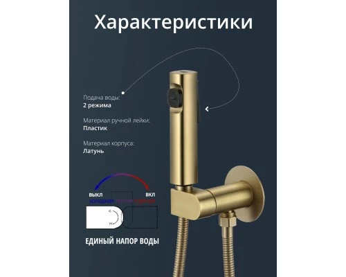 Смеситель с гигиеническим душем встраиваемый с прогрессивным картриджем WaterHouse (матовое золото)
