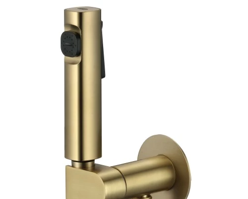 Смеситель с гигиеническим душем встраиваемый с прогрессивным картриджем WaterHouse (матовое золото)