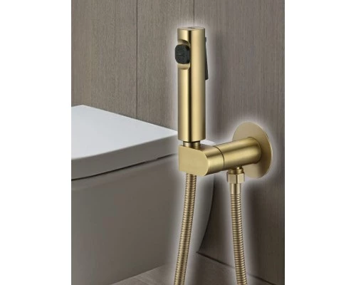 Смеситель с гигиеническим душем встраиваемый с прогрессивным картриджем WaterHouse (матовое золото)