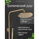Душевая система с тропическим душем (гарнитур) и термостатом из латуни BesserKraft (матовое золото)