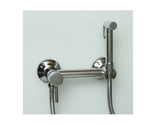 Смеситель для биде с гигиеническим душем Ganzer GZ12202 Set хром