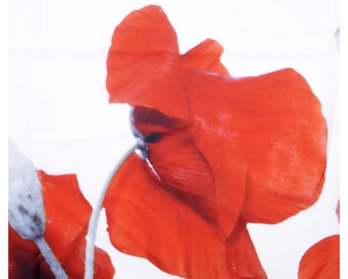 Штора для ванной WasserKraft  SC-47101 180 x 200 см навесная